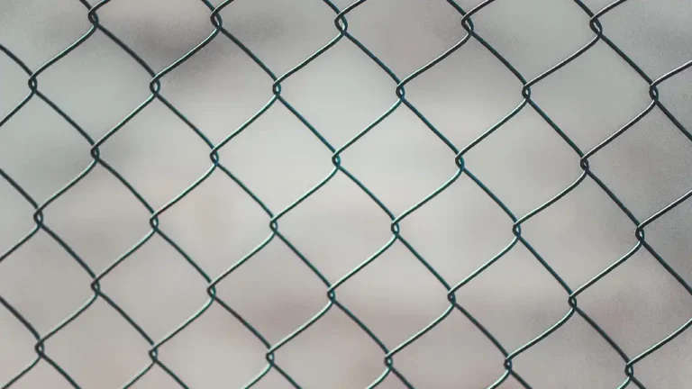 Top 5 Fence Styles for Clearwater Homes: Which One is Right for You?