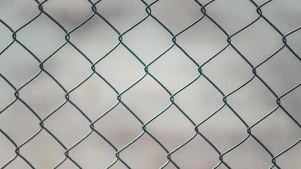 Top 5 Fence Styles for Clearwater Homes: Which One is Right for You?