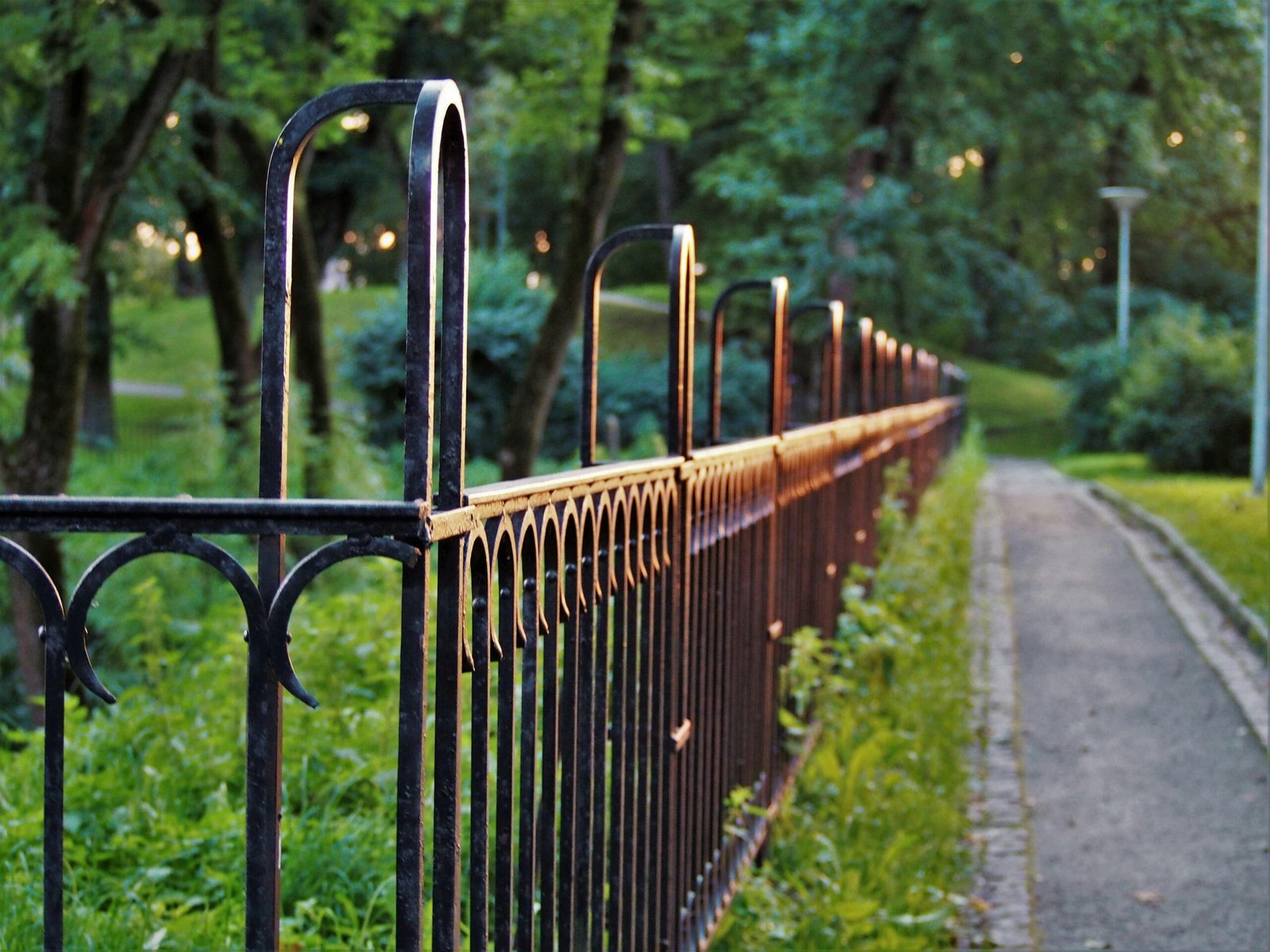fence image